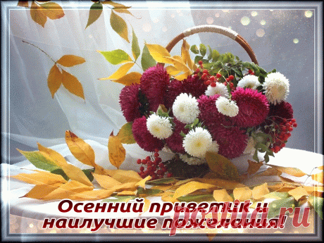 Картинки «Осенний приветик!» (36 фото) ⭐ Забавник