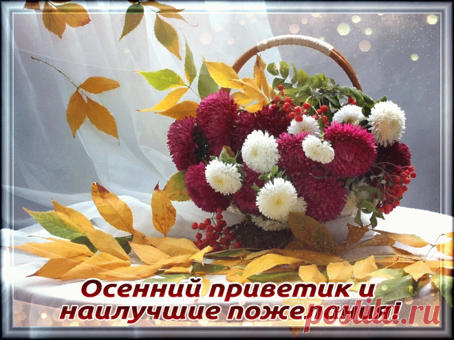 Картинки «Осенний приветик!» (36 фото) ⭐ Забавник