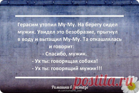 ✔ Злая Зайка