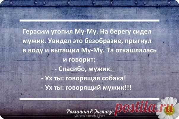 ✔ Злая Зайка