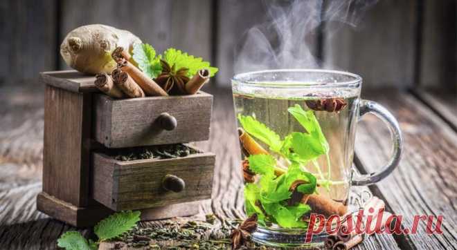 Что добавить в чай, чтобы получить максимум пользы - Health