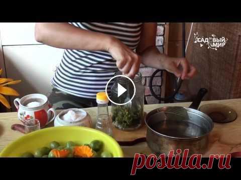 Маринованные зеленые помидоры на зиму.  Спасаем томаты от фитофторы Маринованные зеленые помидоры на зиму. Спасаем томаты от фитофторы...