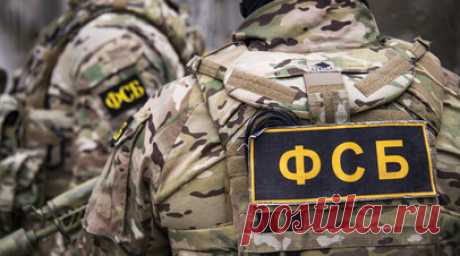 Намеревались отравить продукты питания военнослужащих: в Петербурге пресекли деятельность ячейки террористов из РДК. Сотрудники ФСБ вскрыли и пресекли деятельность законспирированной ячейки украинской военизированной организации «Русский добровольческий корпус»*, которая действует в интересах ГУР Минобороны Украины. Силовики задержали четырёх человек, которые намеревались отравить высокотоксичным химическим веществом продукты питания, предназначенные для отправки в зону СВО военнослужащим ВС…