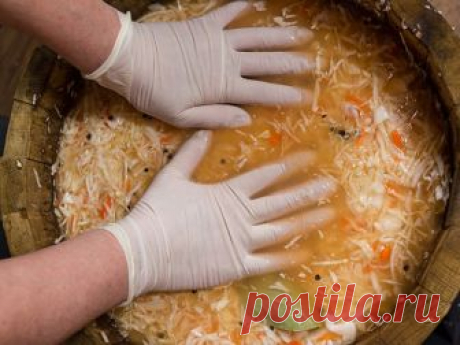 Квасим капусту ! Самые лучшие рецепты 

1. Вкуснейшая хрустящая капуста "Пелюстка" - очень просто!

Продолжая тему капусты, готовим вкуснейшую маринованную закуску из капусты.

Маринуется такая капуста вместе со свеклой,что и придаёт её листочкам не только отличный вкус и аромат,но и красивый розовый цвет.

Именно благодаря своему цвету,похожему на цвет лепестков розы, капуста "Пелюстка"и получила своё название.

"Пелюстка" в переводе с украинского означает лепесток.

Полу...