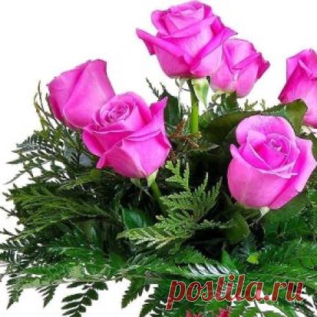 Милые девочки, девушки, женщины, бабушки!
Это для ВАС!!!:)