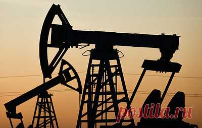 Нефтесервисный холдинг "Борец" передали государству. Компания производит установки электроцентробежных насосов для нефтяной промышленности