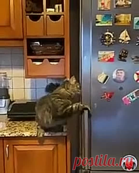 Ты - не ты, когда голоден