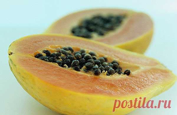 Вкусная экзотика на дачном участке – банановое дерево