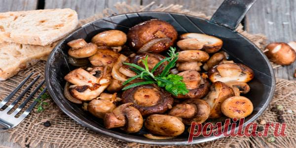 Это самые важные правила приготовления грибов! Пришло время отказаться от кулинарных стереотипов…