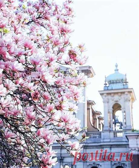 Beautiful World | Facebook