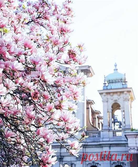 Beautiful World | Facebook