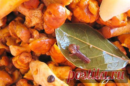 Консервированные лисички на зиму - фото рецепт приготовления в домашних условиях / рецепт с фото