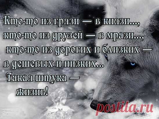 Никогда не стоит никому ничего объяснять. Тот, кто не хочет слушать, не услышит и не поверит, а тот, кто верит и понимает, не нуждается в объяснениях.