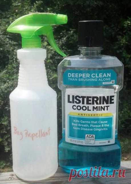 Нестандартное применение Listerine в быту / Домоседы
