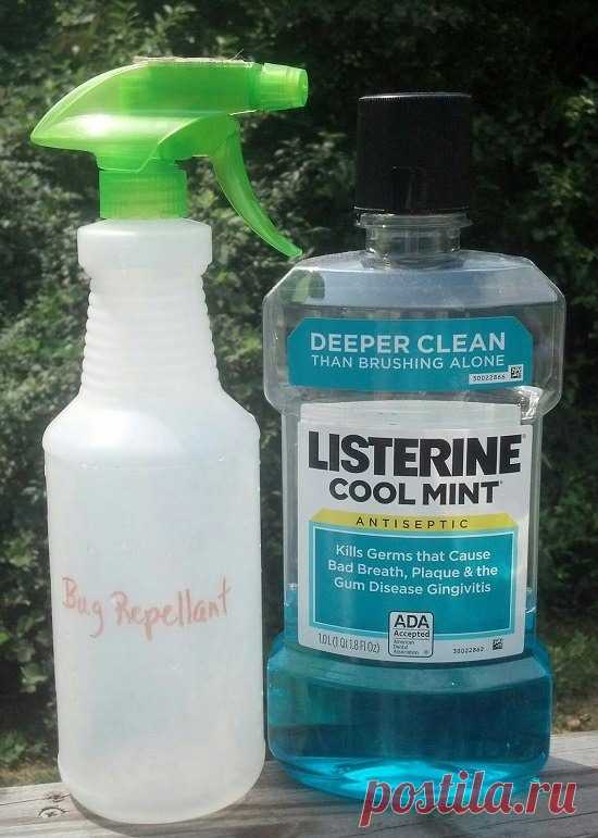Нестандартное применение Listerine в быту / Домоседы