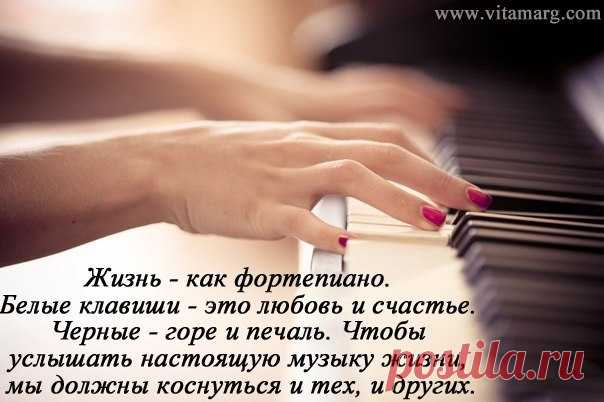 Разговоры ни к чему не приводят
Незаметно горечь уходит
И ненужным кажется все, что было
И минуты последней встречи
Забываются, и уже легче
Понимать, что сердце давно остыло, остыло...
Я не умру без твоей любви (минус)cover челси
T-h0pjChfH8.jpg (604×402)