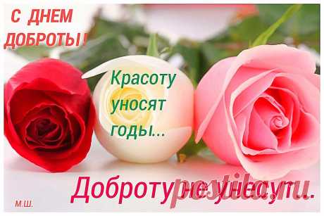 (77) Одноклассники