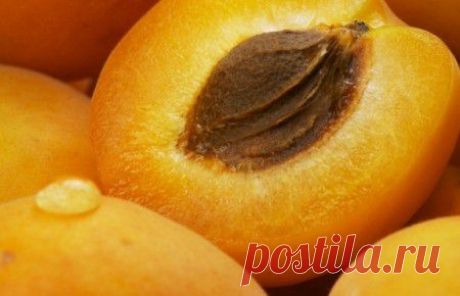 Абрикосовое масло: свойства и применение. Масло абрикосовое для волос и лица