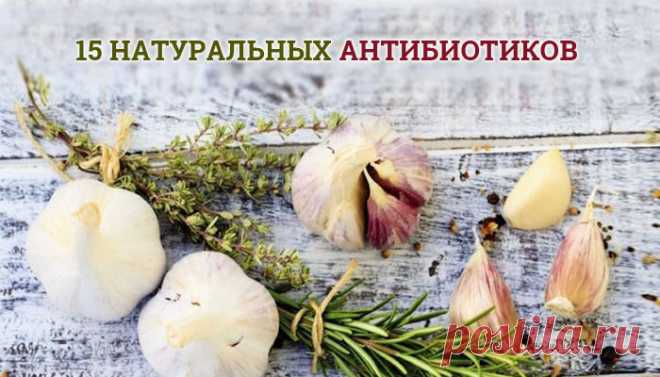 Натуральные антибиотики: 15 лучших природных средств