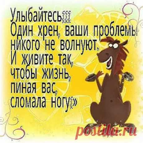 image (Изображение JPEG, 411 × 411 пикселов)