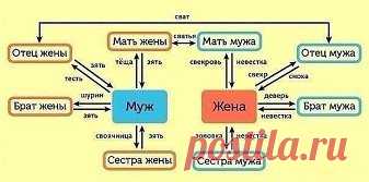 (55) Одноклассники