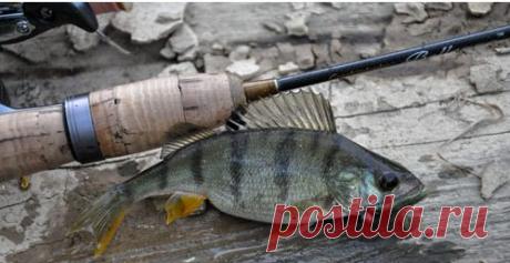 Улов гораздо больше