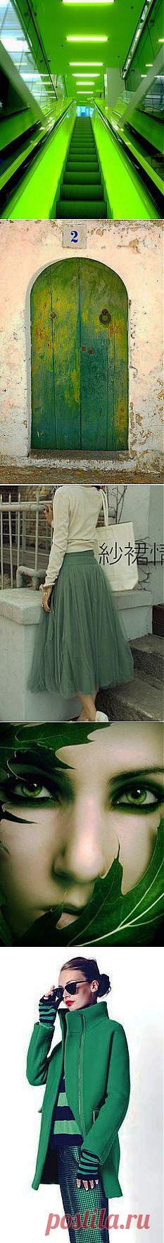 green web | Windows to the Soul