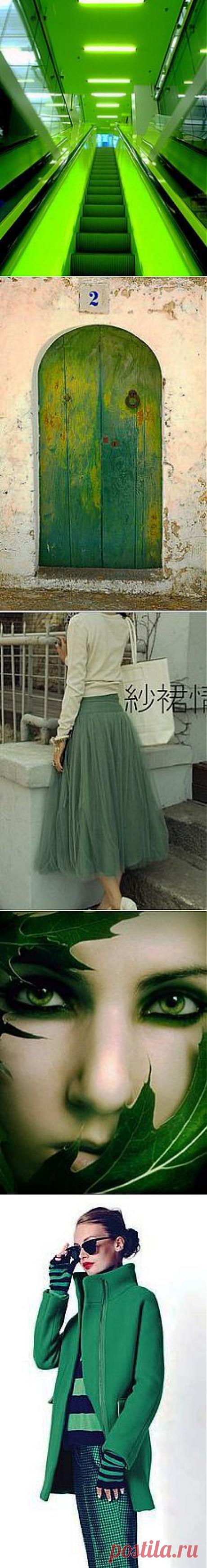 green web | Windows to the Soul