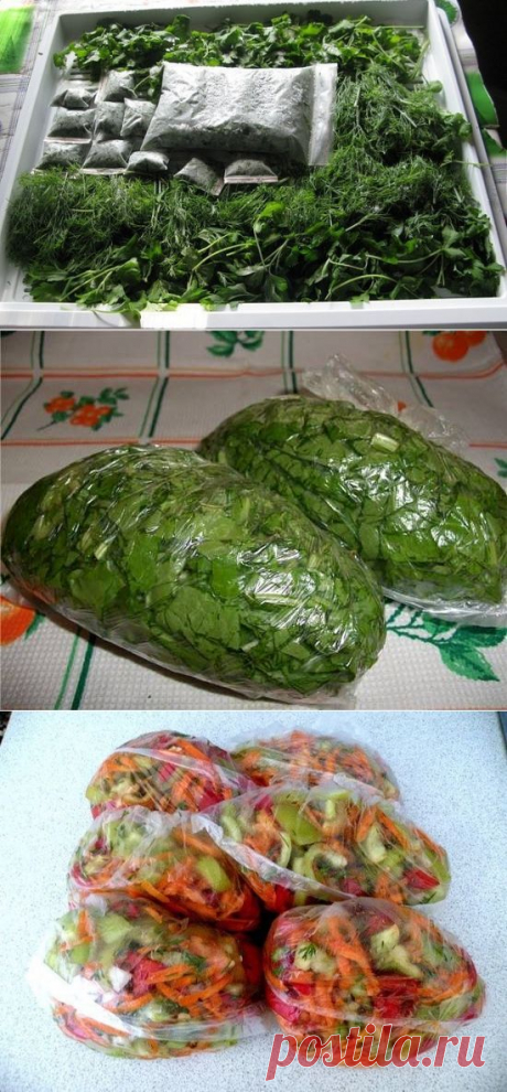 ЗАМОРОЗКА