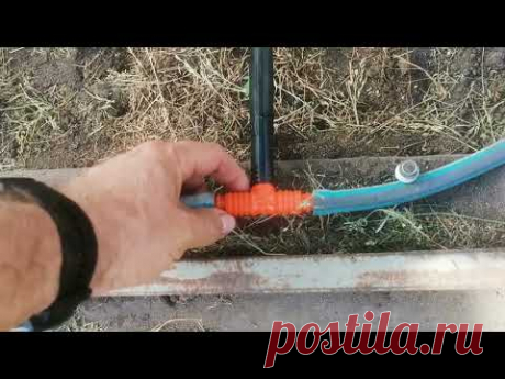 Капельный полив делаю только так! Подробно о самом простом капельном поливе за одну минуту