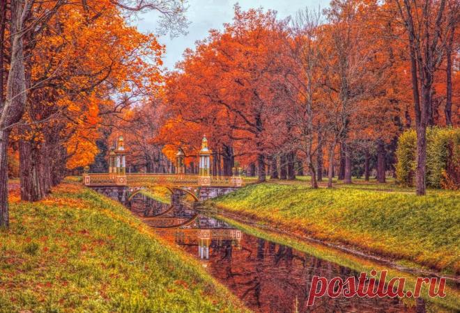 Картинки красавицы-осень (35 фото) ⭐ Забавник