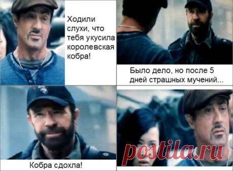 Сочный Юмор