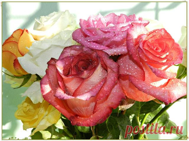 Природа - это книга, которую надо прочитать и правильно понять, ошибочное понимание приносит большой вред. - М. Налбандян