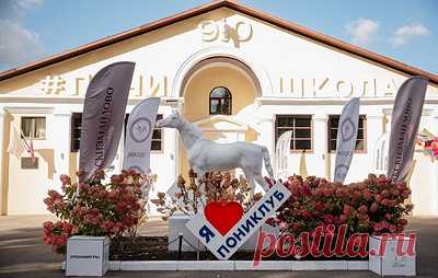 В Москве прошел первый в России международный турнир по пони-спорту. Было разыграно 225 кубков и медалей