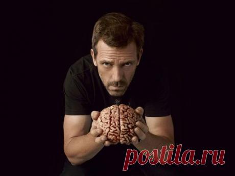 Активность мозга по часам: в какое время ваш мозг работает быстрее