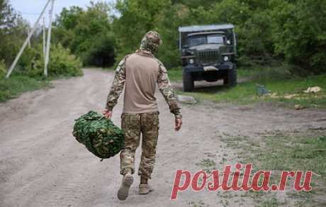 Службы занятости в 2024 году оказали содействие 12 тыс. участников СВО и их семьям. В Роструде напомнили, что за участниками спецоперации на Украине сохраняются рабочие места, они имеют приоритетное право на участие в программах переобучения и субсидирования найма