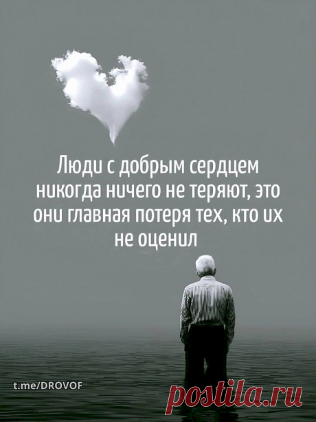 6e2ae11e.jpg (736×981)