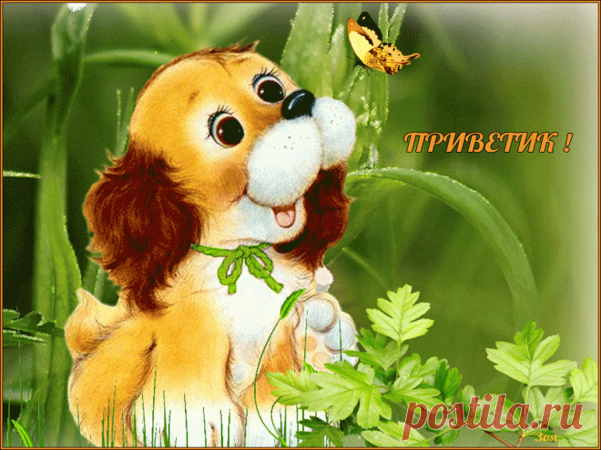 privet-druzyam-kartinki-animatsionnnyie-2+%289%29.gif (1024×768)