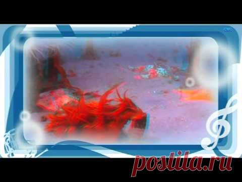 Музыкальный  АКВАРИУМ -2. relax