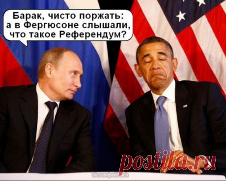 Владимир Путин. Все приколы интернета | ТопФотоПрикол