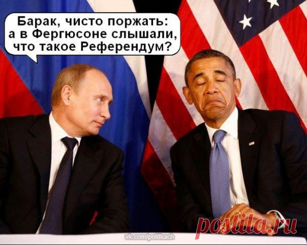 Владимир Путин. Все приколы интернета | ТопФотоПрикол