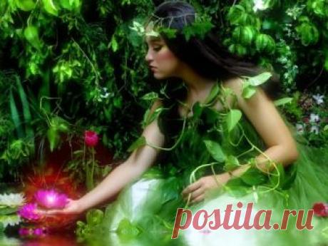 Иван Купала в ночь с 6 на 7 июля 2018 года: лучшие заговоры на достаток и любовь Купальская ночь, пожалуй, является одним из долгожданных народных праздников. В это время можно изменить жизнь к лучшему с помощью проверенных заговоров и ритуалов.