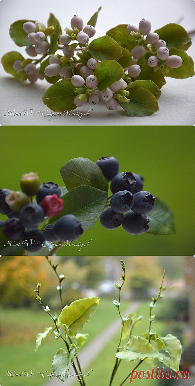 Снежноягодник и черничка | Страна Мастеров