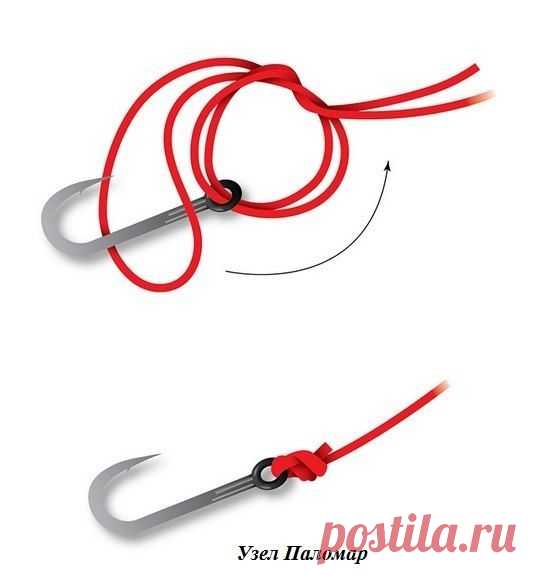 Популярные рыболовные узлы