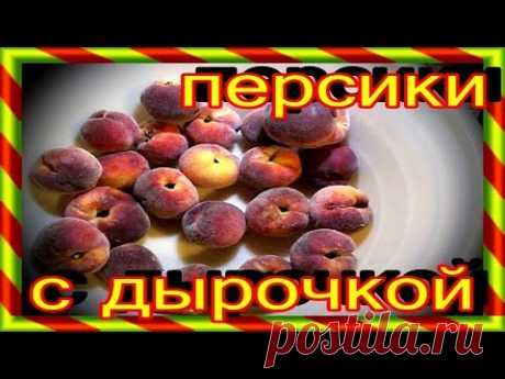 Персики с букашкой. Дырочки в персиках &amp;#9415;- (канал Румянцевых). Фото. Видео