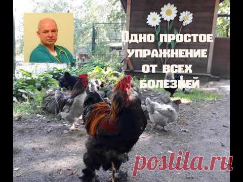 Одно простое упражнение от всех болезней#утренняягимнастика#головокружение#инсульт