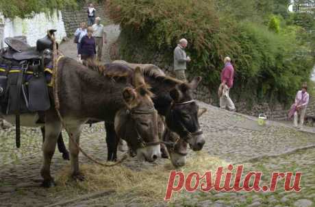 Кловелли (Clovelly) — маленькая рыбацкая деревня. Девон, Англия  Деревенька совершенно очаровательная, и как бы выпавшая из времени... Попав сюда, забываешь, что где-то есть какая-то цивилизация — здесь нет автомобильного движения, все, как в старину: пешочком вниз, пешочком же вверх, а багаж тех постояльцев, которые решают здесь провести пару ночей,...