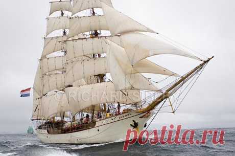 Альбом 19 «Галерея 19« Tall Ship расы