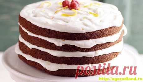 Домашние торты. Шесть рецептов вкусных тортов