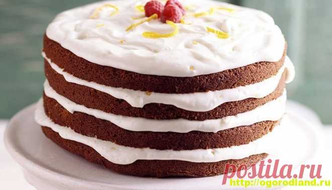 Домашние торты. Шесть рецептов вкусных тортов
